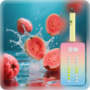 KISS凱斯電子煙MIX&SHARE拋棄式6500口【芭樂】